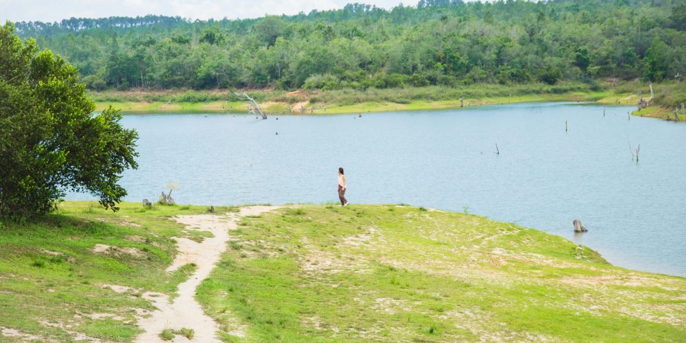 Viñales4 Viñales4